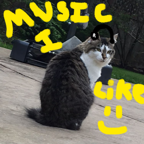 My Cats :3